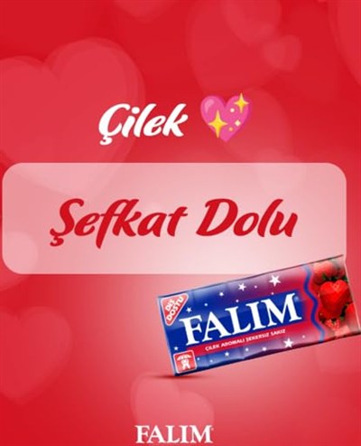Falım Çilek Aromalı Şekersiz Sakız 5Li 7 Gr 20 Adet