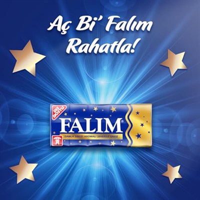 Falım Damla Sakızı Aromalı Sakız 7 gr 20 Adet