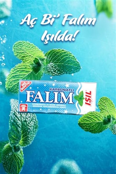 Falım Işıl Nane Aromalı Sakız 8 gr 20 Adet