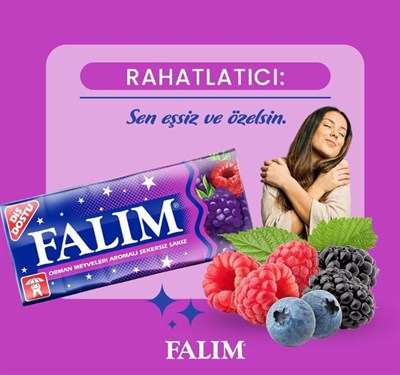 Falim Şekersiz Sakız Orman Meyveleri Aromalı 5li 7 g x 20 Adet