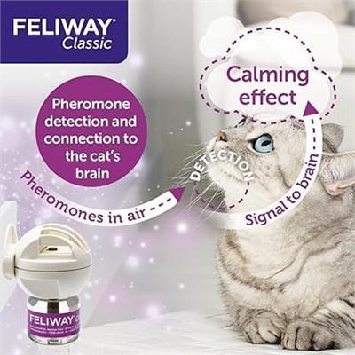 FELIWAY Classic başlangıç seti