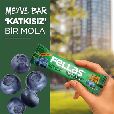 Fellas Meyve Bar, Chialı ve Yaban Mersinli, 40gr x 12 Adet