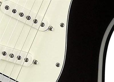 Fender Pickguard Mounting Screws Chrome Pickguard Vidaları (24 Adet)
