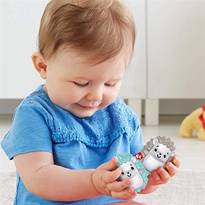 Fisher Price Eğlenceli Arkadaşlar Dişlik ve Çıngıraklar, Kirpi FXC22