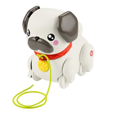 Fisher-Price Minik Dostumla Yürüyüş Sesli ve hareketli Fisher-Price FP Pets Yürüyüş Arkadaşı Köpekçik çekçekli bebek oyuncağı HTW94
