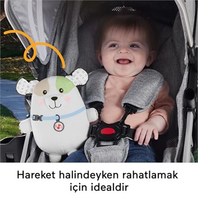 Fisher Price Sevimli Köpekçik Uyku Arkadaşı, yenidoğanlar için pelüş bebek oyuncağı ve taşınabilir ses makinesi, HTJ68 - Seçenekler: Köpekçik, Koala, Su Samuru, Tavşancık