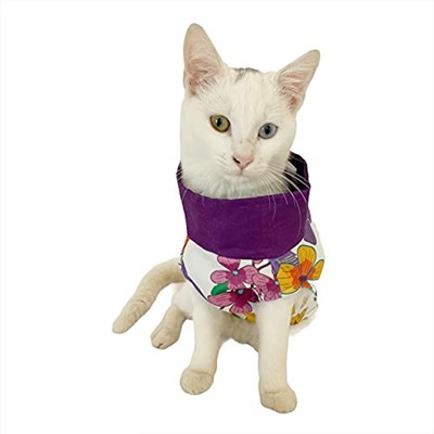 Flower Power Su itici Yağmurluk Kedi Yağmurluğu MOR M