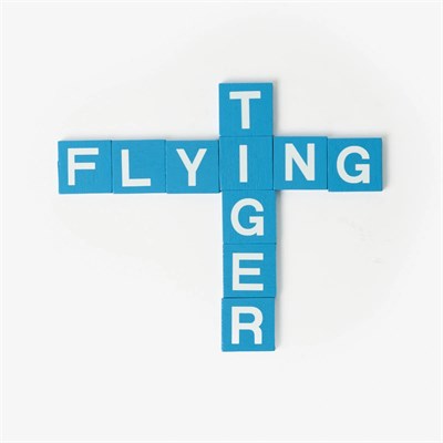 Flying Tiger Copenhagen Yeşil Metal Kutulu Kelime Oyunu