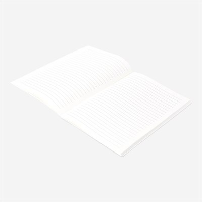 Flying Tiger Copenhagen Yeşil Renk Geçişli A5 Defter