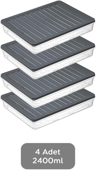 Fresh Box Saklama Kabı, 4lü Set, 2400 ml, BPA İçermeyen, Dondurucuya ve Mikrodalga Fırına Uygun (Gri)