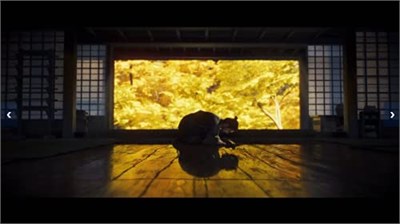 Ghost of Tsushima: Directors Cut (İngiltere/Arapça)