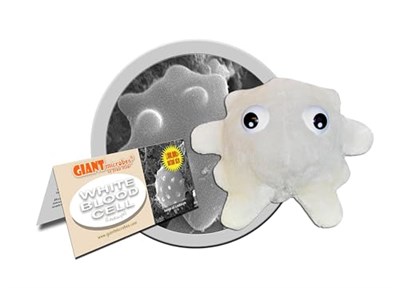 GIANTmicrobes Beyaz kan hücreleri olan pelüş mikroplar.