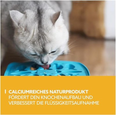 GimCat Puding Kedi Ödülü 150 gr