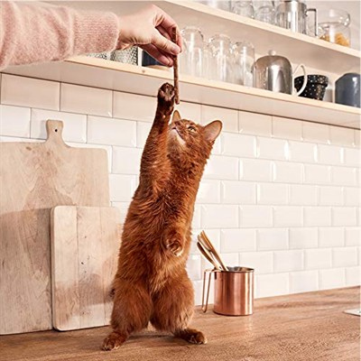 GimCat Sticks Kuzu etli Tavuklu Ödül Çubukları 50 gr - 10lu