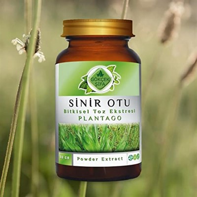 Gökçek Şifa Sinir Otu (Plantago) Toz Ekstresi 80 gr Cam Kavanoz