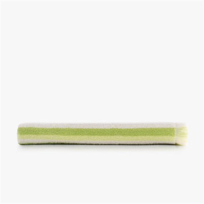 Green Black Stripe Green Plaj Havlusu %100 Pamuk Renkli 90x160