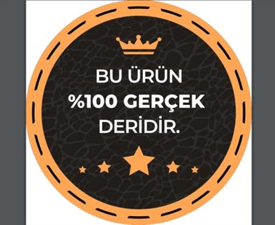 Hakiki Deri Gold Tokalı Kadın Kot, Spor Kemer 4 cm; an-byn-35