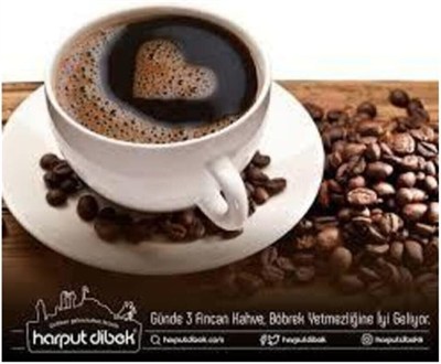 Harput Dibek Türk Kahvesi 100 Gr