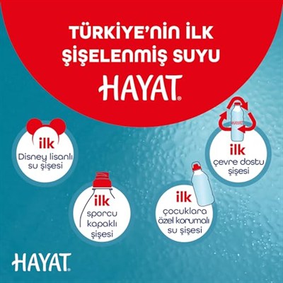 Hayat Doğal Mineralli Su 6x1,5 L