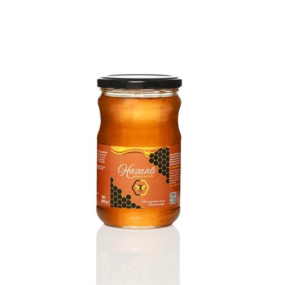 HAZANLI Doğal Çiçek Balı/850 gr