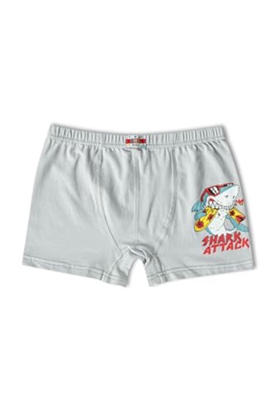 HNX UNDERWEAR 6lı Pamuklu Baskılı Erkek Çocuk Boxer Külot Karışık-3 10-11 Yaş hnxNM763