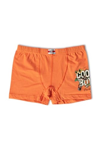 HNX UNDERWEAR 6lı Pamuklu Baskılı Erkek Çocuk Boxer Külot Karışık-3 10-11 Yaş hnxNM763