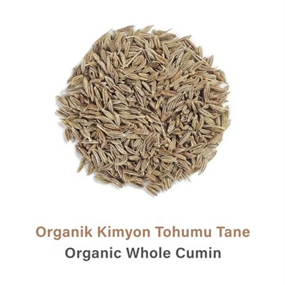 HOLISTIC CORNER Organik Kimyon Tohumu Tane | 50g