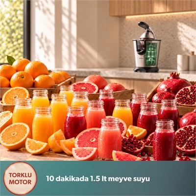 Homend Vitamillion 2603H Pro Elektrikli Çelik Narenciye ve Nar Sıkacağı