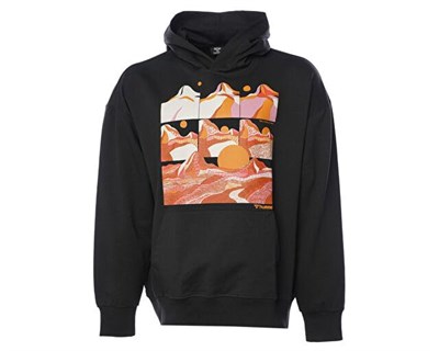 Hummel Hmlbenoit Hoodie Erkek Günlük Sweatshirt 921843-2001 Siyah
