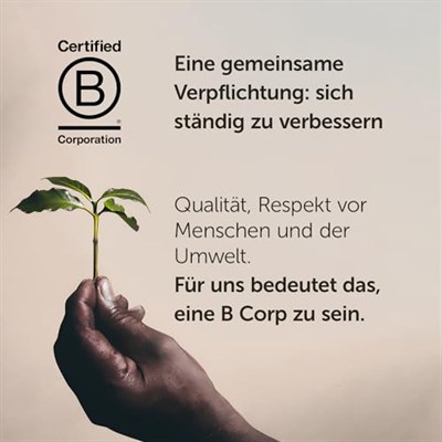 illy Guatemala Çekirdek Kahve (250g)