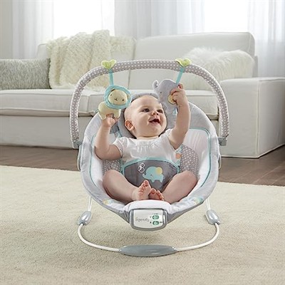 Ingenuity Rahatlatıcı Ana kucağı Bebek Koltuğu, Sesler ve Titreşimler, 0-6 Ay, 9 kga Kadar - Morrison, Fil/Aslan Oyuncaklı (Gri/Mavi)