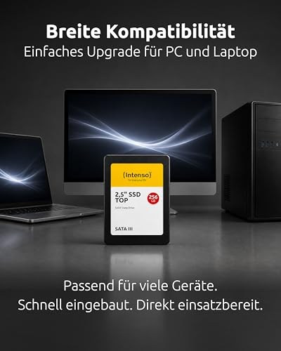 Intenso SSD 2,5 SATA 3 256GB