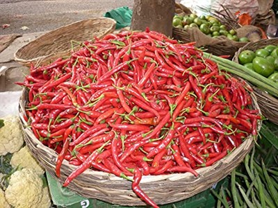 İthal Doğal Acı Şili Biberi Acı Biber Hot Chilean Pepper 100 Ad Tohum