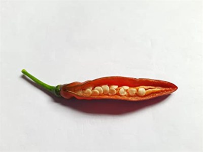 İthal Doğal Acı Şili Biberi Acı Biber Hot Chilean Pepper 100 Ad Tohum