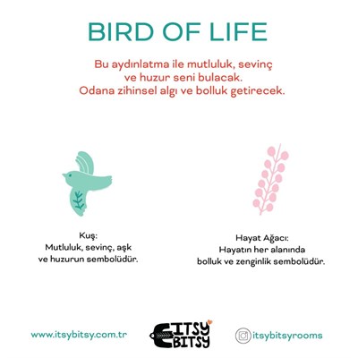 Itsy Bitsy Kids Bird Of Life Başucu Aydınlatma Başlığı , Mint Yeşili, 16x20cm
