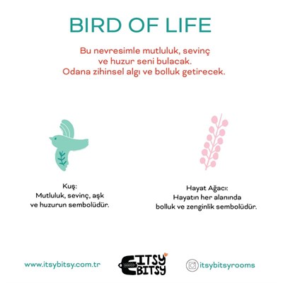 Itsy Bitsy Kids Bird Of Life Pamuk Saten Mint Yeşili Çocuk Çarşaf Seti 90x190cm