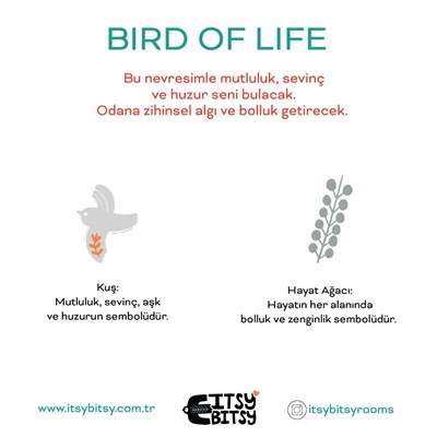 Itsy Bitsy Kids Birds Of Life Aplik Başlığı, Gri, 13.5x16cm