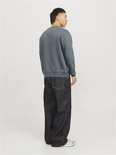 JACK & JONES Erkek Jorvesterbro Sweat Crew Neck Noos