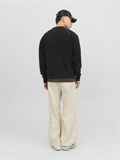 JACK & JONES JCOLAB SWEAT CREW NECK AW23 Sweatshirt, 12241523