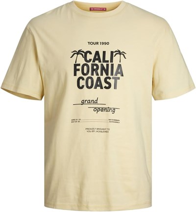 JACK & JONES JORMARBELLA TEE SS CREW NECK Tişört Erkek