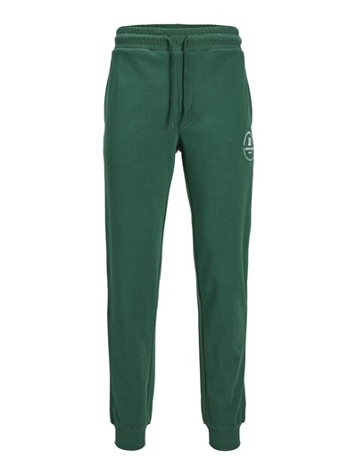 JACK & JONES JPSTGORDON JJSWIFT SWEAT PANTS Pantolon Erkek