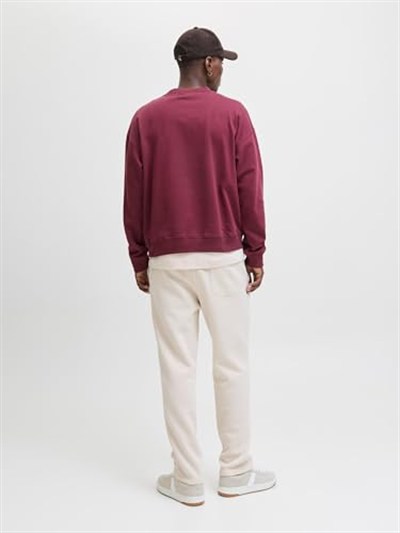 JACK & JONES Jpstkane Bradley Uncuffed Swt Pants Noos Jpstkane Bradley Uncuffed Swt Pants Noos Erkek