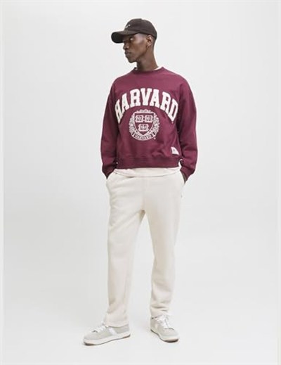 JACK & JONES Jpstkane Bradley Uncuffed Swt Pants Noos Jpstkane Bradley Uncuffed Swt Pants Noos Erkek