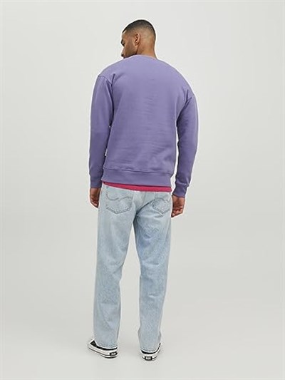JACK & JONES ORIGINALS JORSILVERLAKE SWEAT CREW NECK LN Sweatshirt Erkek