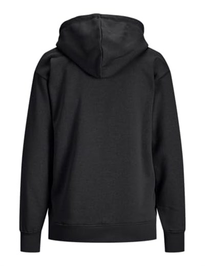 JJXX JJXX JXABBIE RLX LS EVERY HOOD SWT NOOS Sweatshirt Kadın