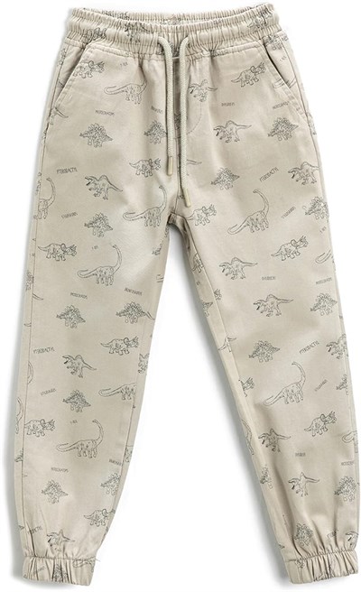 Jogger Pantolon Beli Bağlamalı Cepli Dinozor Desenli