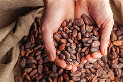 jovia premium quality chocolate ÇİKOLATA Organik Çikolata-%70 Bitter Fındıklı 85 gr