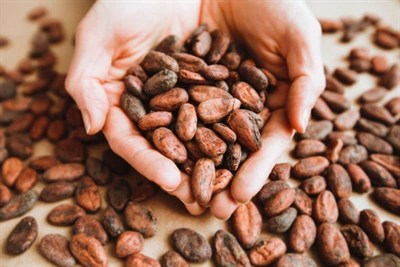 jovia premium quality chocolate Organik%100 Bitter Çikolata - Şeker kamışı kaplı kakao parçacıklı.