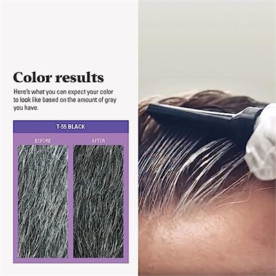 Just For Men Touch of Grey, Gri Saç Boyama Tarak Aplikatörlü Erkekler için, Tuz ve Biber Görünümünde Harika - Siyah, T-55 (Ambalaj değişebilir)