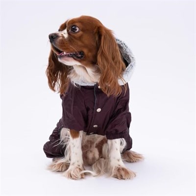 Kahverengi Kürklü Tulum Yağmurluk Küçük Irk Yağmurluk Köpek Kıyafeti Köpek Yağmurluğu L